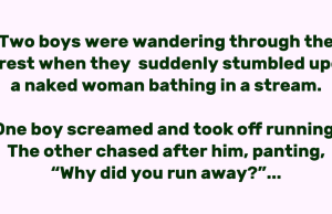 “The Two Boys in the Forest”