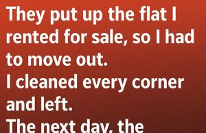 Leaving a Place Better Than I Found It Changed More Than I Knew