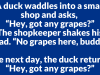 A duck waddles into a small shop